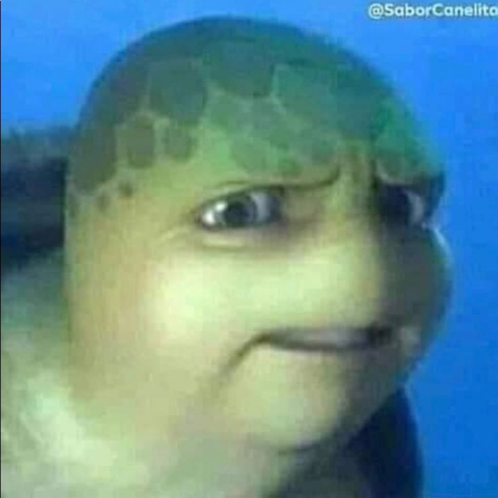 Meet your Posher, Shayla